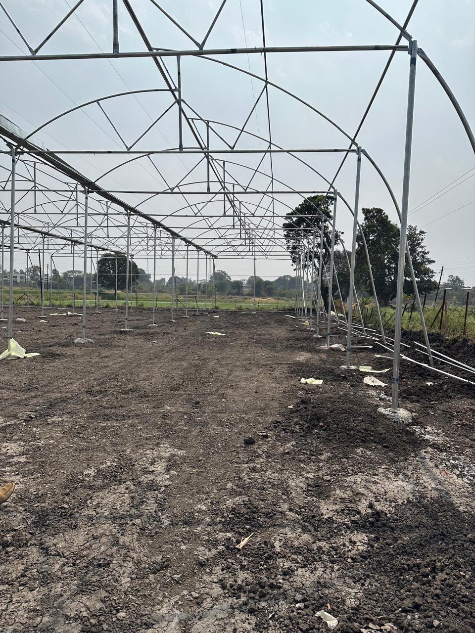 Greenhouse Project 78